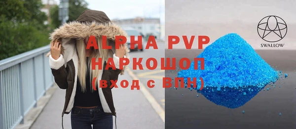 индика Вязьма