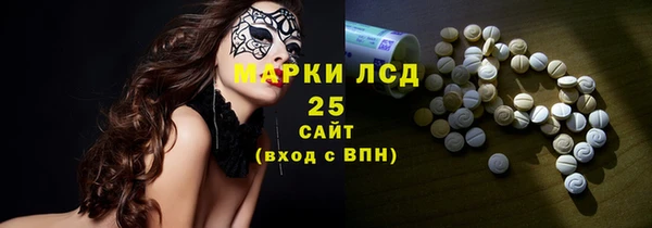 индика Вязьма