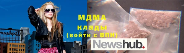 индика Вязьма