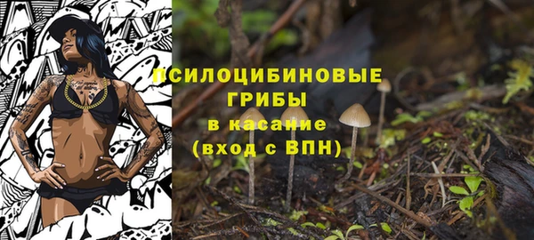 кокаин премиум Вяземский