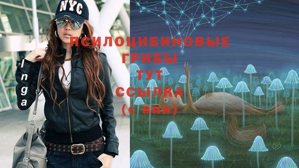 индика Вязьма