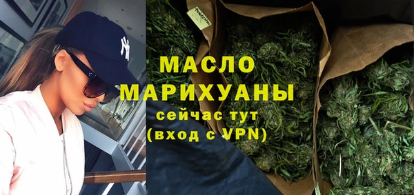 индика Вязьма