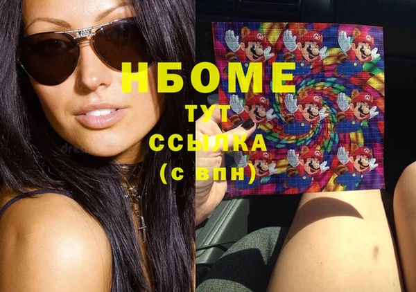 индика Вязьма