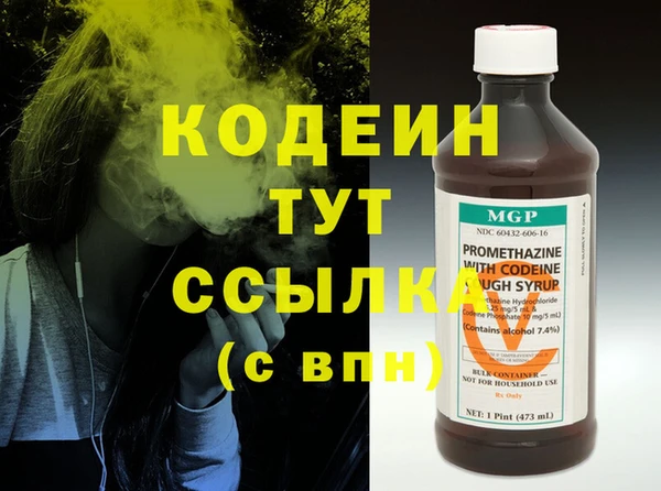 индика Вязьма