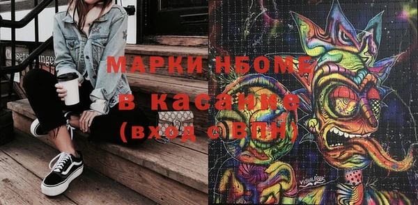 индика Вязьма
