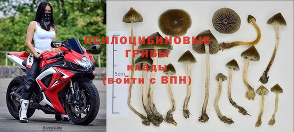 мяу мяу мука Вязники