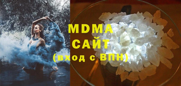 индика Вязьма