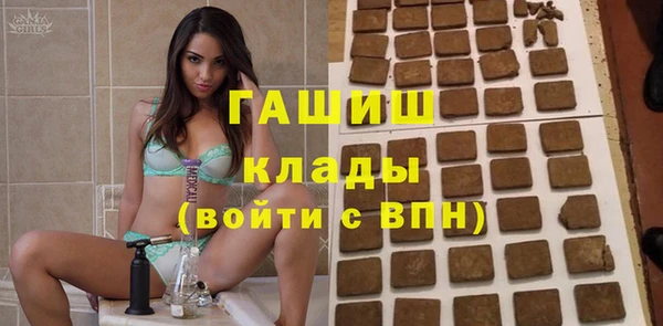 индика Вязьма