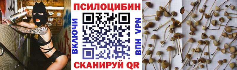 Псилоцибиновые грибы мицелий  Калач 